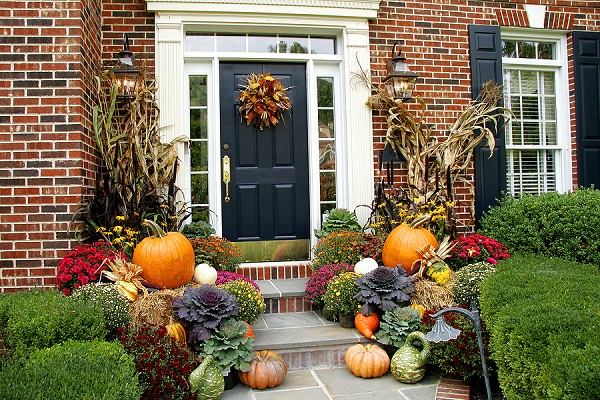 Beautify Your Interiors with All-Season Indoor Plants