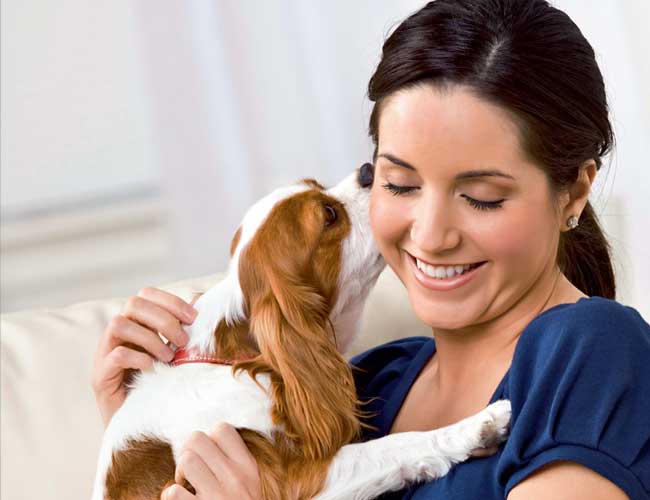 5 Care tips for handling your pet