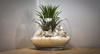 How to Make a Terrarium- Step-by-Step Tutorial