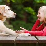 Checking out your obsession levels for your pet