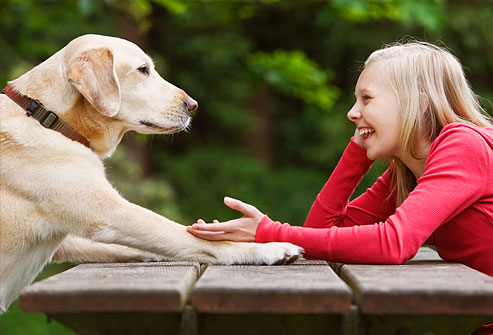 Checking out your obsession levels for your pet