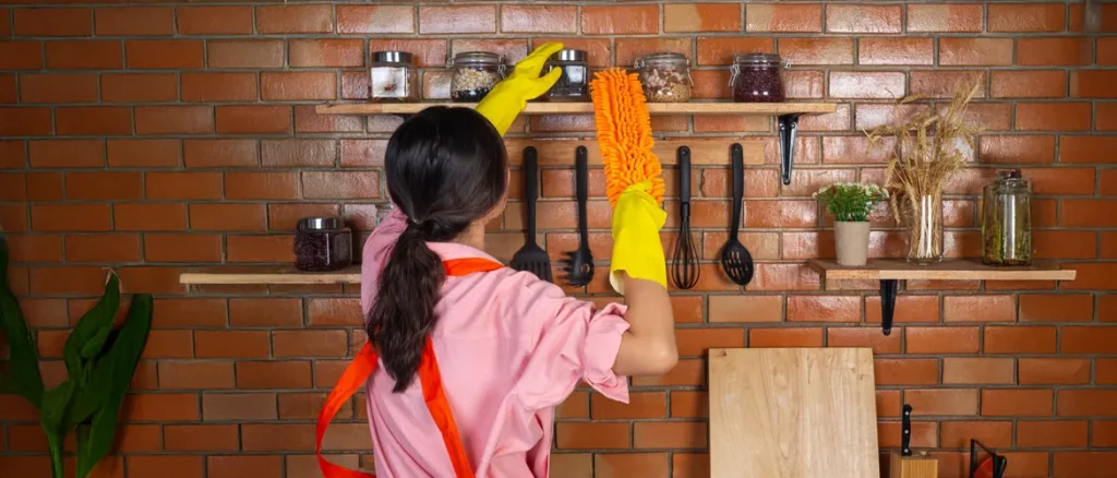 How to Clean Your House