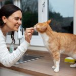 Things-To-Remember-For-New-Cat-Owners