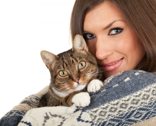 Things to remember for new cat owners