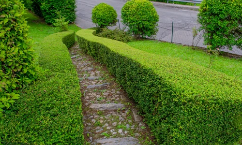 They Make Your Garden