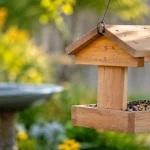 Make a quick DIY bird feeder at home to attract birds