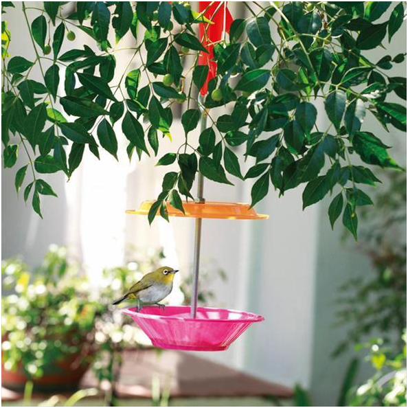 How to make a bird feeder for your garden by yourself