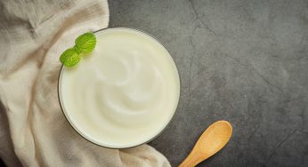 How to Make Mayonnaise at Home from Scratch