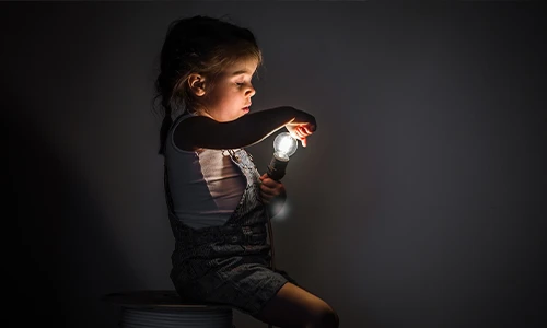 Flashlight Night Hunt