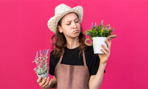 10 Gardening Mistakes Most People