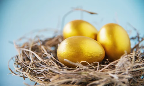 Golden Egg Challenge