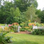 Top 10 Gardening Mistakes
