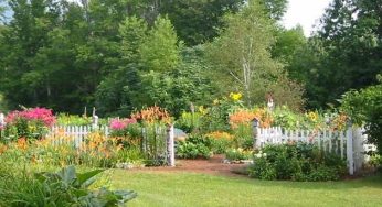 Top 10 Gardening Mistakes