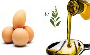 egg and olive oil
