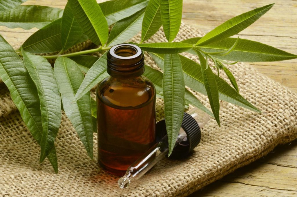 Tea Tree Essential oil