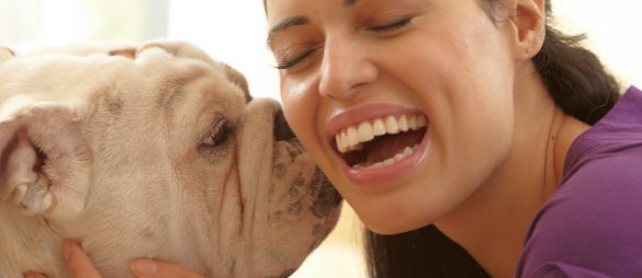 5 best dog command