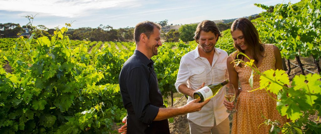 Wine Tasting in New Zealand