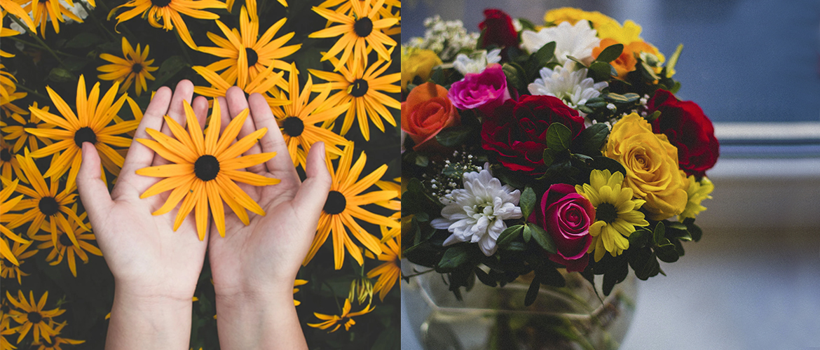 The Flowers that make your hair healthier