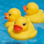 Rubber Ducks