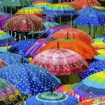 umbrella