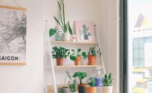 Effective ways to bring nature into your home
