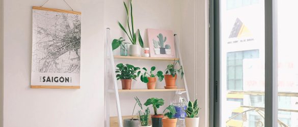 Effective ways to bring nature into your home