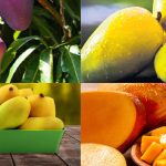 Costly mango varieties