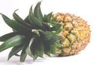 Discover-the-Fashion-Innovation-Using-Pineapple-Leaves