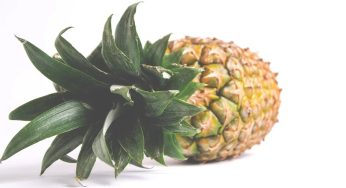 Discover the Fashion Innovation Using Pineapple Leaves