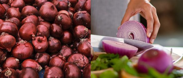 Health benefits of onions