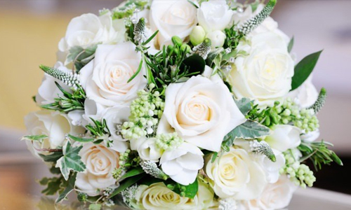 White roses