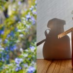 Benefits of Rosemary Water for Hair Growth
