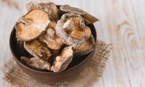 Mushrooms-in-bad-condition