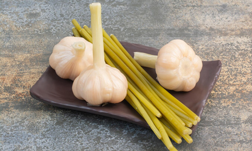 Moderation-to-Avoid-Side-Effects-of-Eating-Raw-Garlic-Everyday