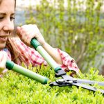 Cutting-Garden