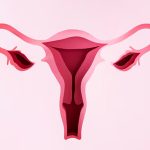 What-healthy-uterus-is-so-special