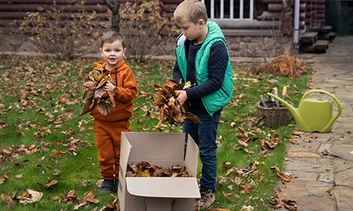 Tips to Make Gardening