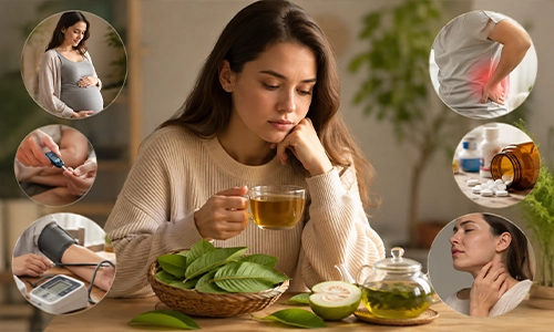 guava-leaf-safety
