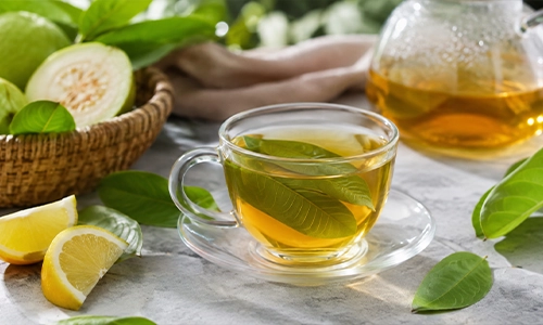 guava-leaf-tea