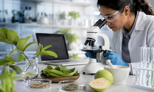 research on guava leaves